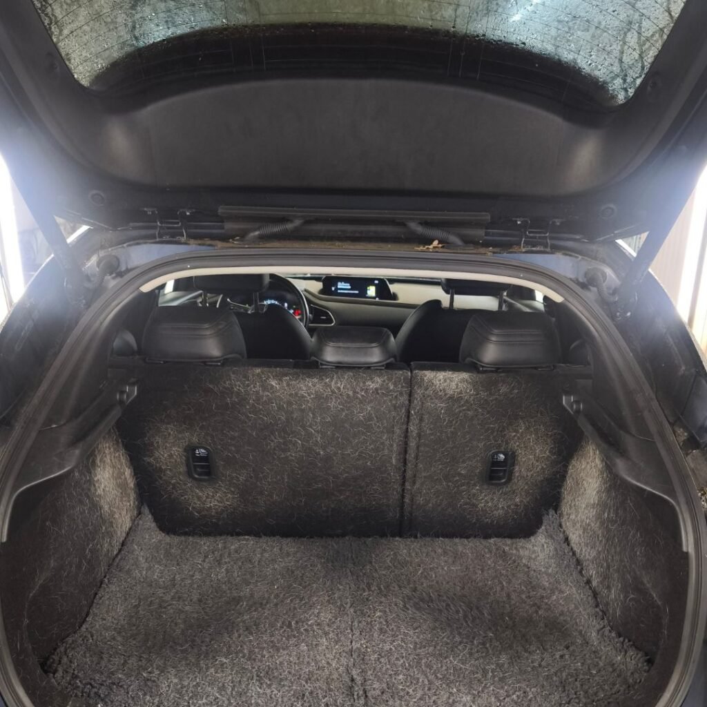 Auto Interieur Reinigen